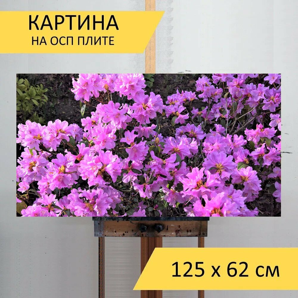 Картина на ОСП 125х62 см. 