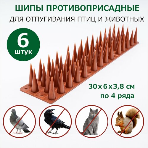 Шипы противоприсадные от птиц и животных 6 секций, пластик