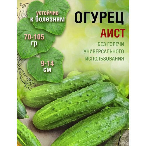 Огурец Аист (2 пакета по 1гр)