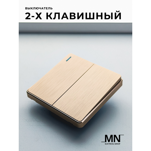 Выключатель двухклавишный Light Gold MN