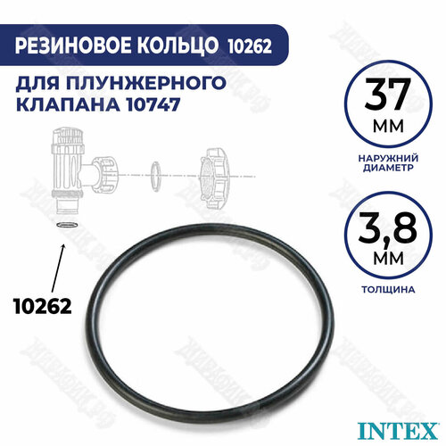 Уплотнительное кольцо Intex 10262 сопряжения плунж. клапана и шланга 38мм уплотнительное кольцо муфты и плунжерного клапана step washer intex уп 10 10745