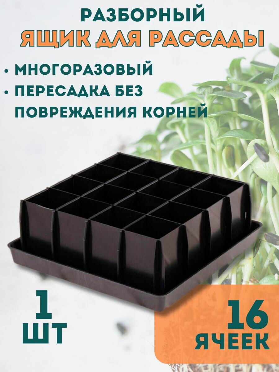 фото Ящик для рассады разборный 16 ячеек, 2 шт