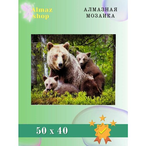 Алмазная мозаика Almaz shop