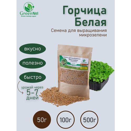 Семена Микрозелени горчица белая семя горчицы русский аппетит 20 г