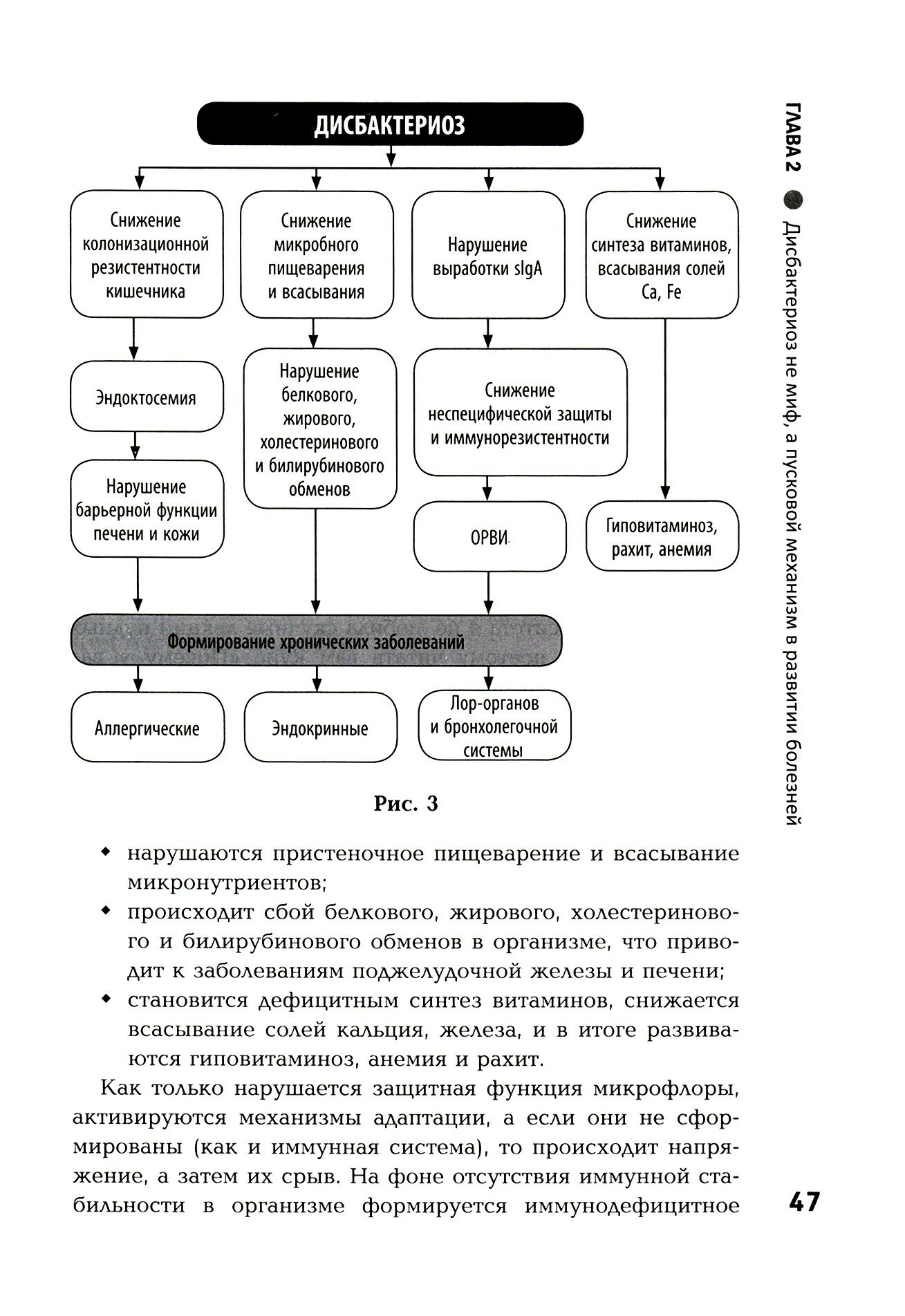 Укрощение строптивых: как приручить микрофлору кишечника и стать здоровым - фото №3