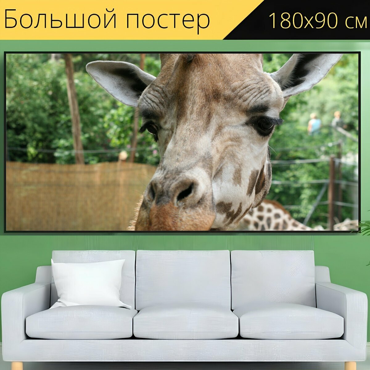 Большой постер "Жирафа, голова, животное" 180 x 90 см. для интерьера