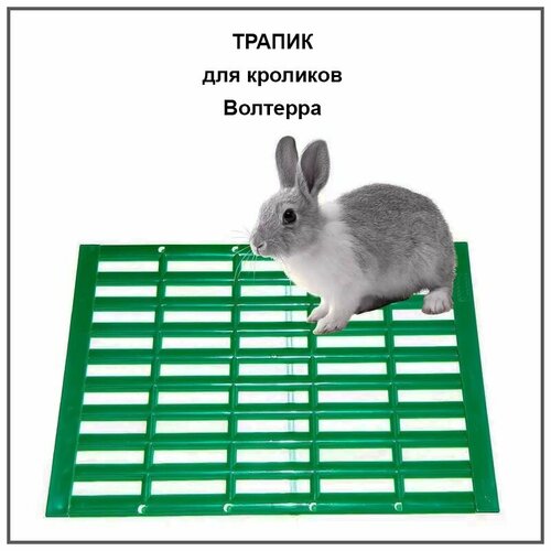 Трапик для кроликов Волтера 365₽