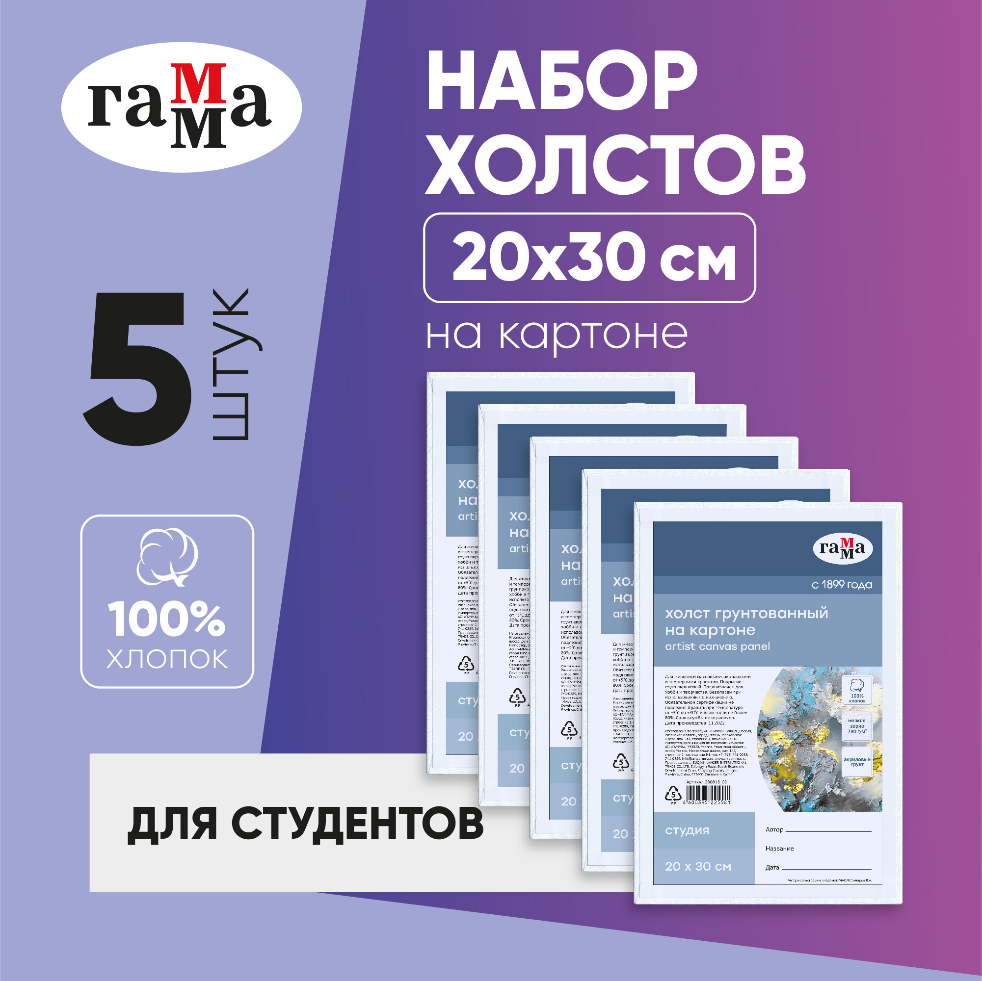 Набор холстов на подрамнике Гамма "Студия" грунтованные, 20х30 см мелкое зерно / 5 штук для рисования и росписи масляными, акриловыми и гуашевыми красками