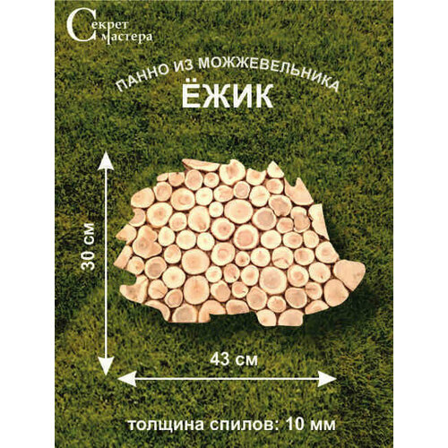 Панно из можжевельника Ежик