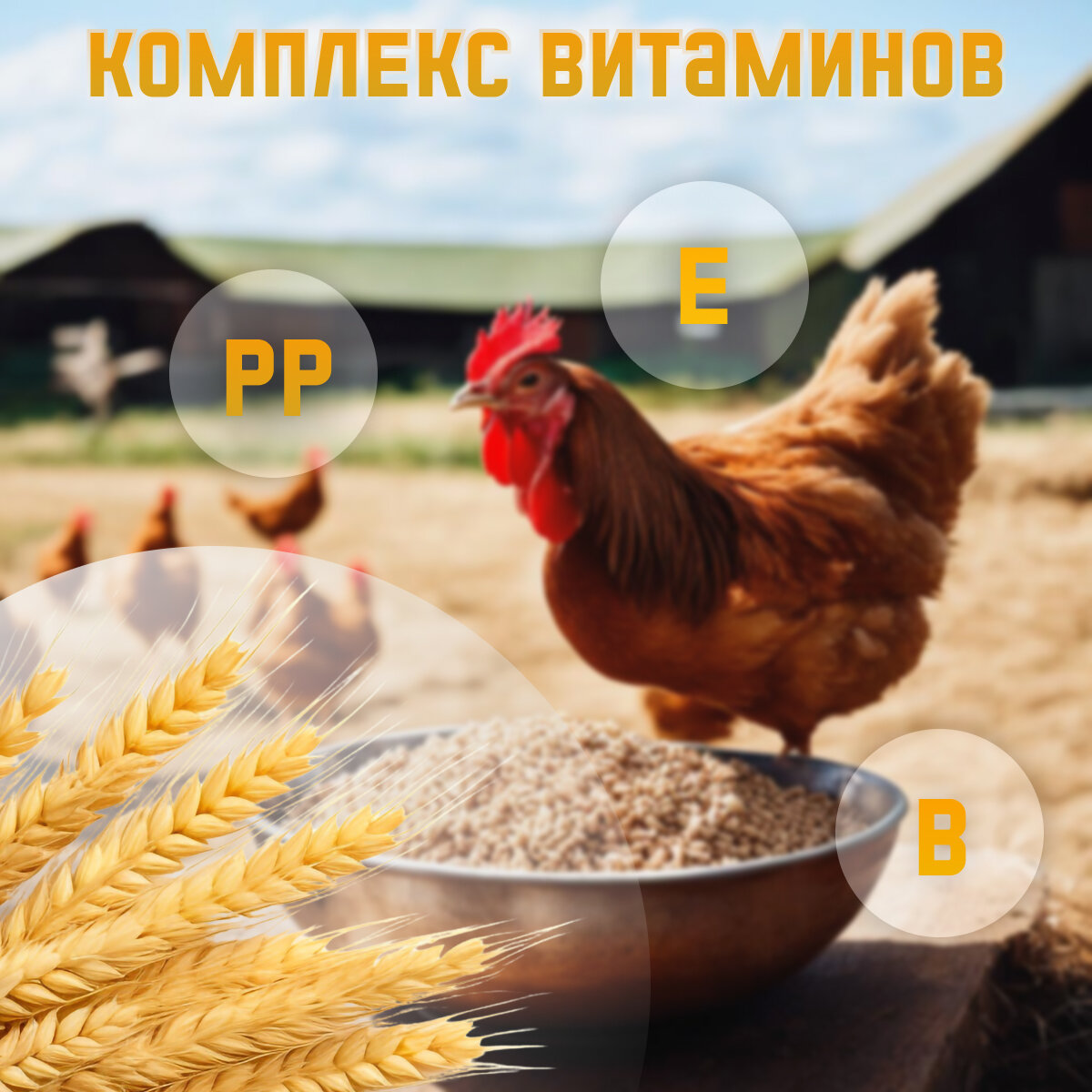 Пшеница кормовая для животных и птиц 5 кг - фотография № 3