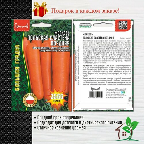 Морковь Польская сластёна Поздняя (2 упаковки)