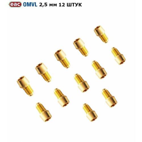 Жиклер для форсунок ГБО OMVL Gemini 25 мм 12 штук 1840₽