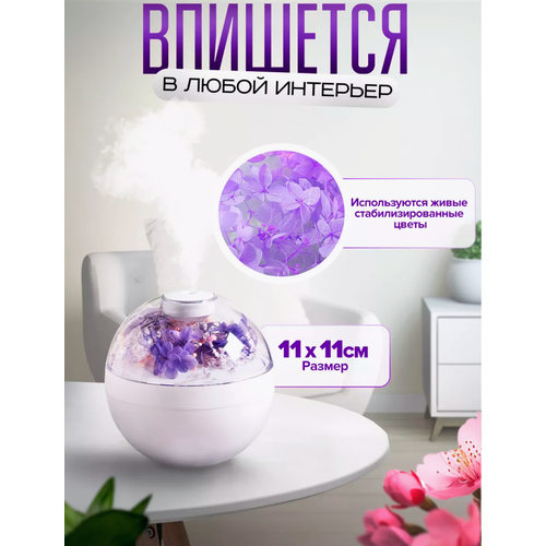 Увлажнитель воздуха для дома 96500₽