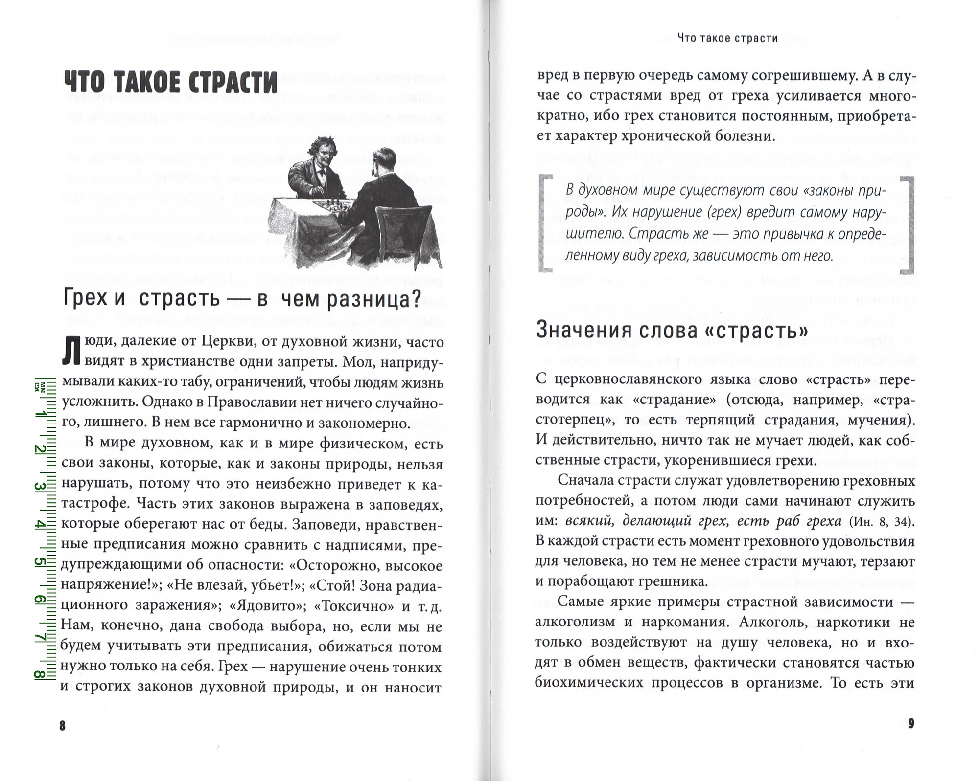 Грехи, страсти и борьба с ними в современном мире - фото №2