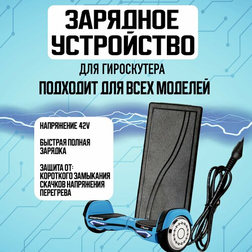 Универсальное зарядное устройство для гироскутера / Универсальное зарядное устройство для всех моделей гироскутеров гироскутер gt smart wheel 10 5 фиолетовый