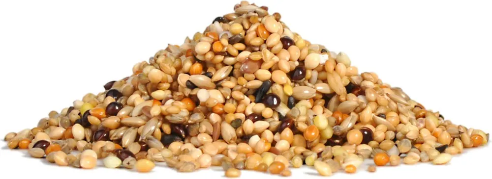 Корм Рио для экзотических птиц основной 1кг