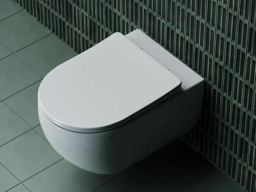Картинки Крышка-сиденье Ceramicanova с микролифтом для CN3015