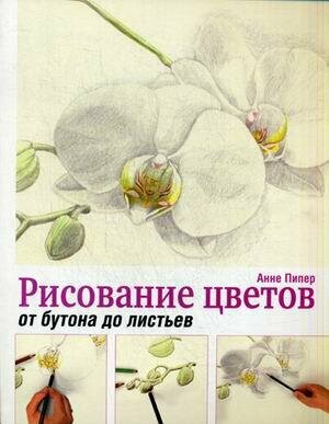 Рисование цветов от бутона до листьев - фото №6