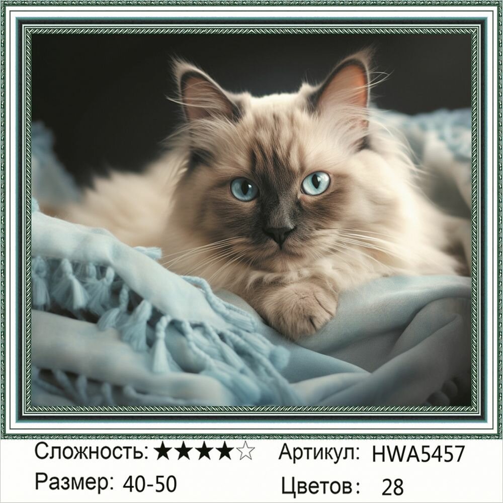 Алмазная мозаика 40х50см на подрамнике. Кошка с голубыми глазами. Кот. Животные.