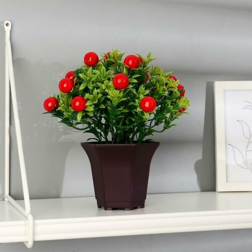 Растение искусственное в горшке Паслён ложноперечный 19х20см микс 995₽