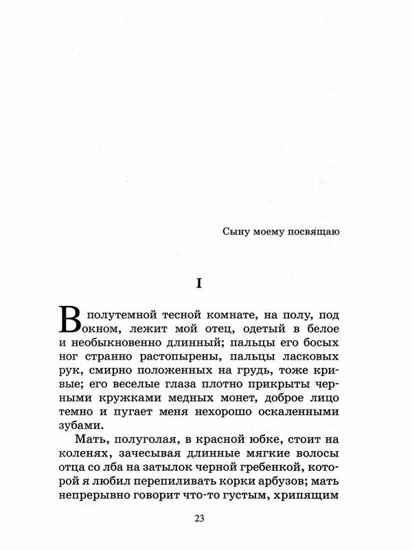Детство. Повесть (Горький Максим) - фото №10