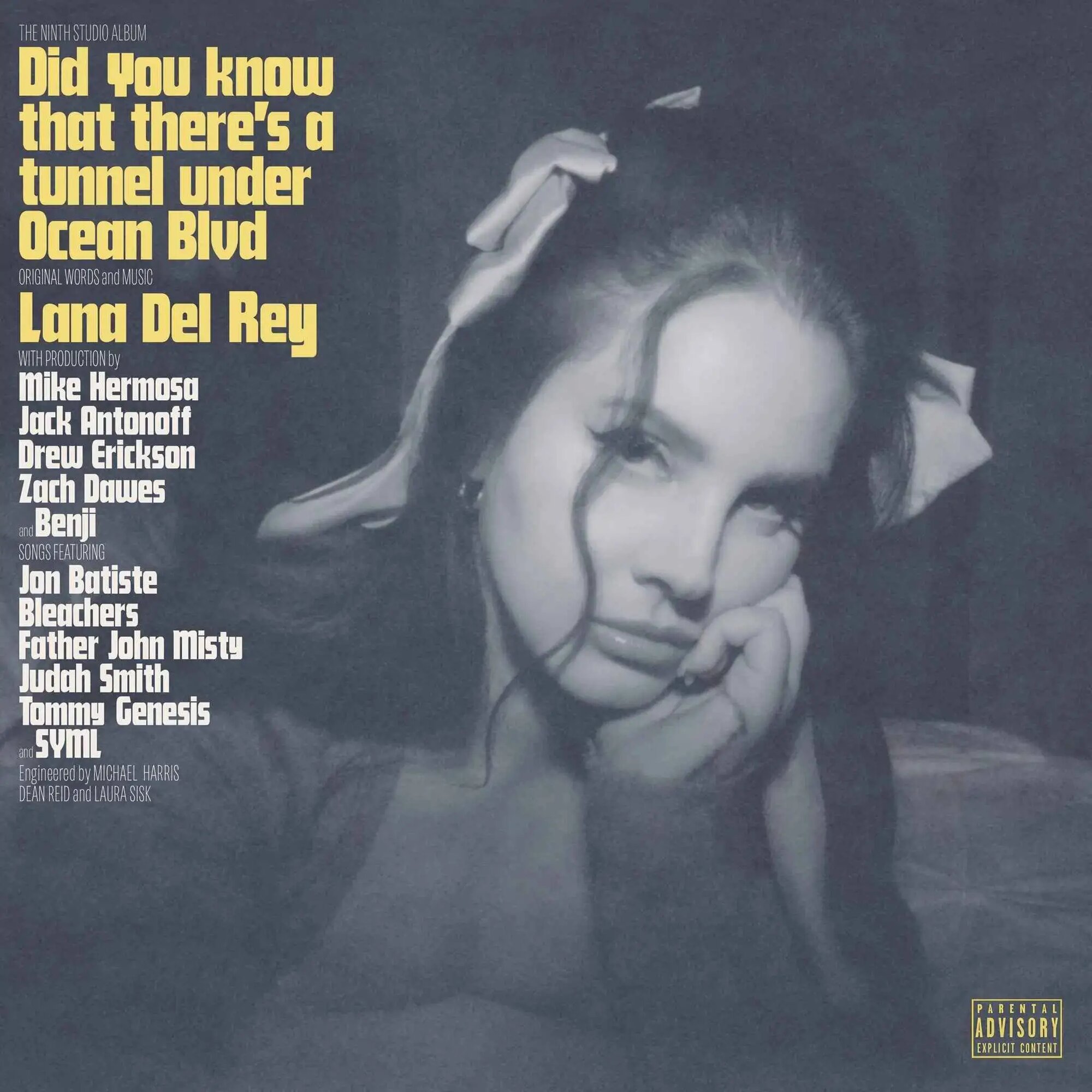 LANA DEL REY - DID YOU KNOW THAT THERE S A TUNNEL UNDER OCEANBLVD (2LP) виниловая пластинка