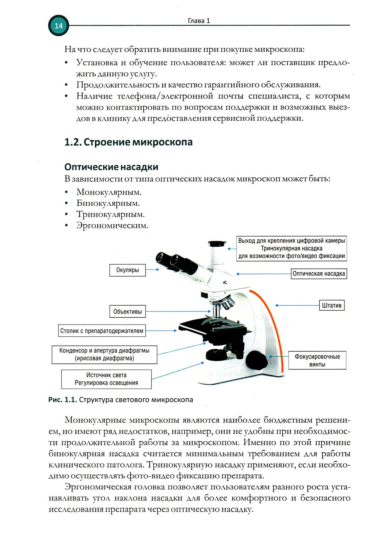 Цитология. Дифференциальная диагностика новообразований кожи и мягких тканей у мелких домашних живот - фото №2