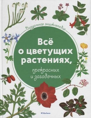 Визуальная энциклопедия. Всё о цветущих растениях, прекрасных и загадочных