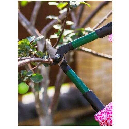 Сучкорез садовый 41см черный, зеленый, черный