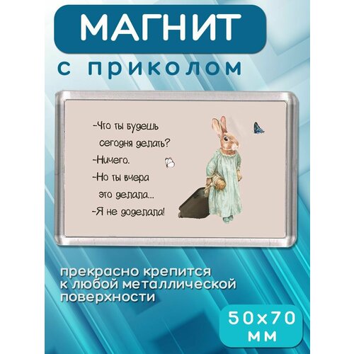 Магнит-украшение Что будешь делать сегодня 181₽