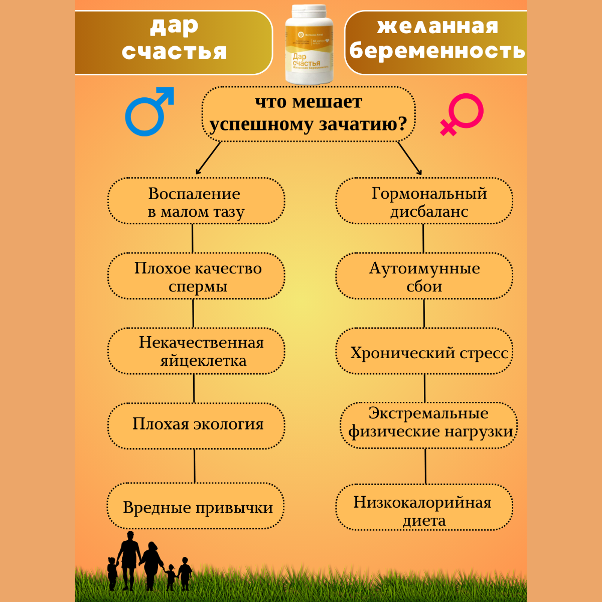 Капсулы фитоком "Дар счастья", экстракты в капсулах, бады, витамины для зачатия, 60 капс, Фитоком Алтай — фото 1