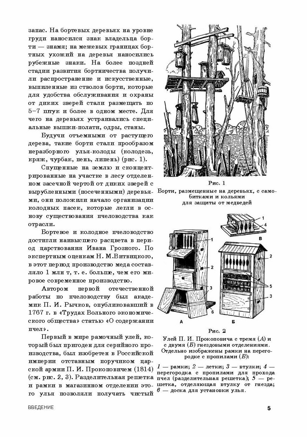 Медоносная пчела. Содержание, кормление и уход. Учебное пособие - фото №6