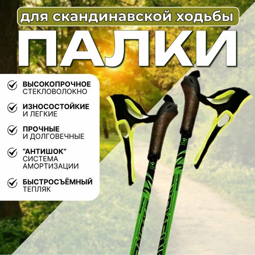 Палки для ходьбы STC EXTREME GREEN (105см) палки stc sport гибрид 35% 165