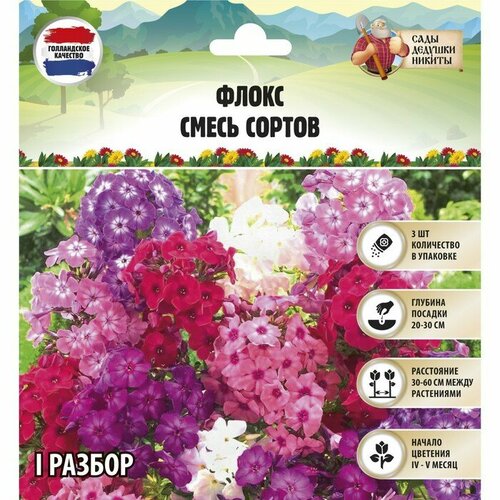 Сады Дедушки Никиты Флокс смесь сортов I, 2 шт, Весна 2024