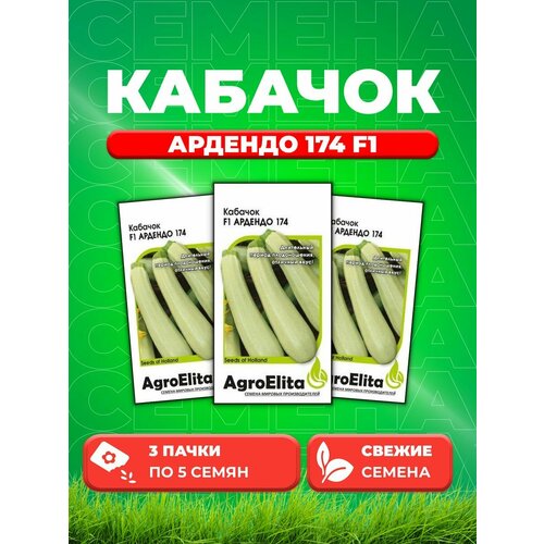 Кабачок Ардендо 174 F1, 5шт, AgroElita, Enza Zaden(3уп)