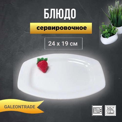 Блюдо для сервировки GALEONTIME прямоугольное 2419 фарфор 640₽
