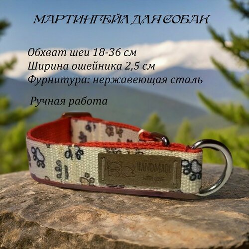 Ошейник, полуудавка "мартингейл" для собак и щенков 18-36 см , ширина 2,5 см