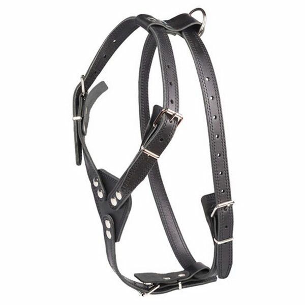 Шлейка для собак Наша ручная работа водильная, №2, двухслойная