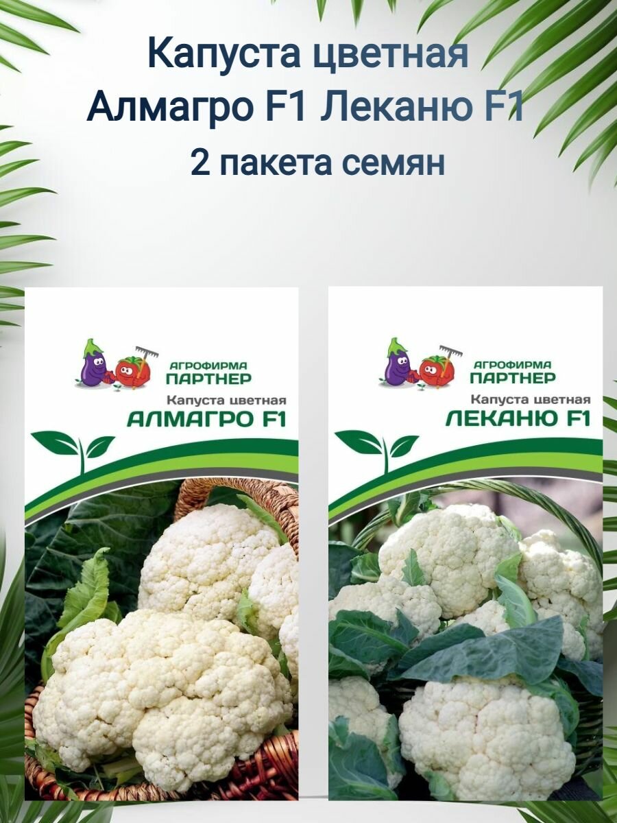 Капуста цветная Алмагро F1 и Леканю F1