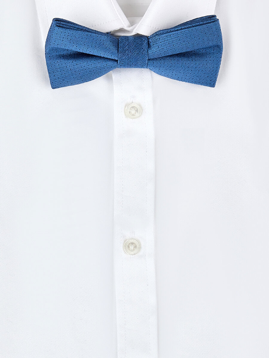 Бабочка Noble People, синий — фото 1