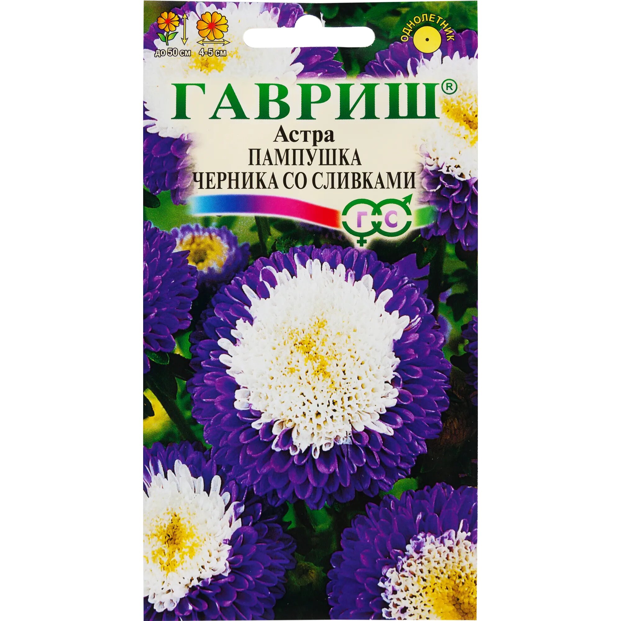 Астра «Пампушка Черника со сливками» 0.3 г