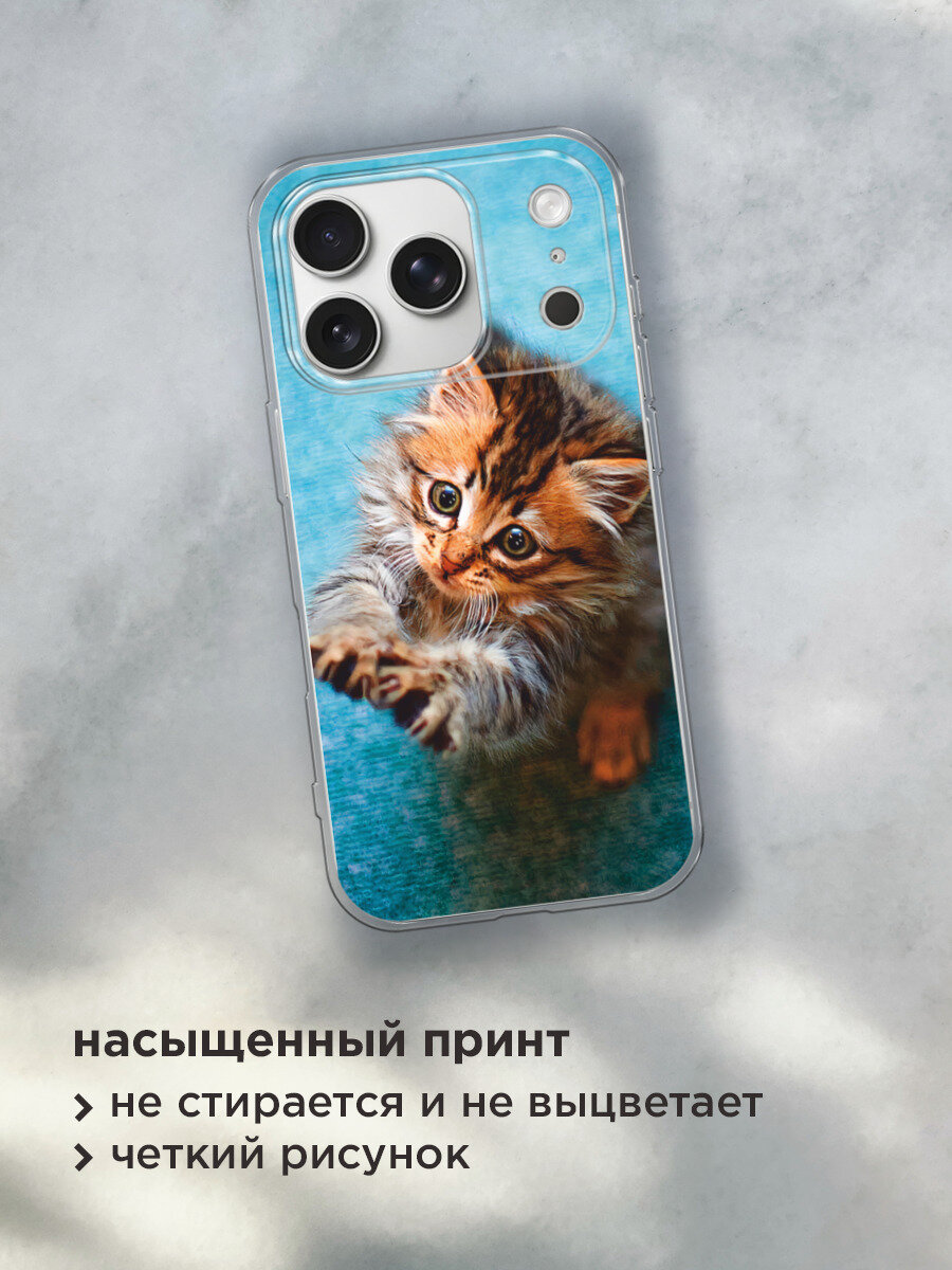 Чехол на Apple iPhone 17 Pro / Айфон 17 Про с принтом Котенок просит есть — фото 1