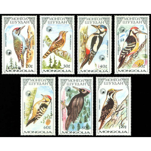 Почтовые марки Монголия 1987г. Дятел Птицы MNH почтовые марки монголия 1999г сокол птицы mnh