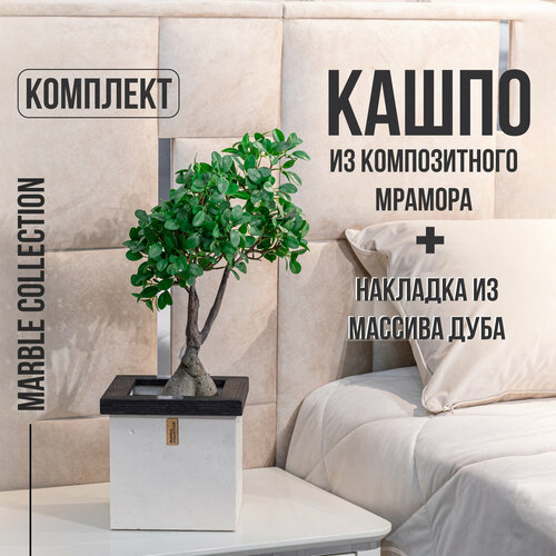 Кашпо для цветов квадратное с накладкой из массива черного дуба 