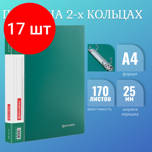 Комплект 17 шт, Папка на 2 кольцах BRAUBERG Стандарт, 25 мм, зеленая, до 170 листов, 0.8 мм, 221613