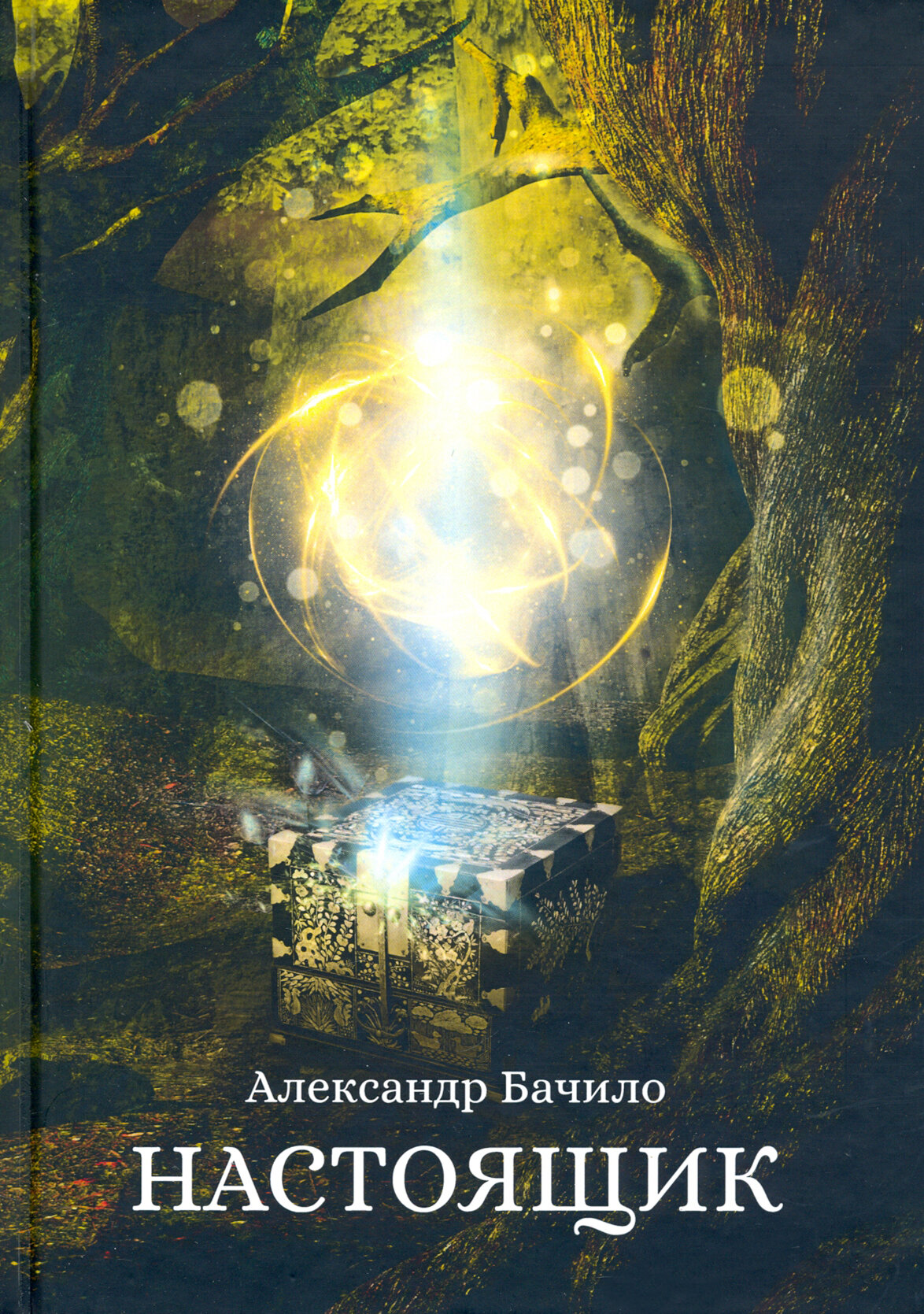 Настоящик (Бачило Александр Григорьевич) - фото №2
