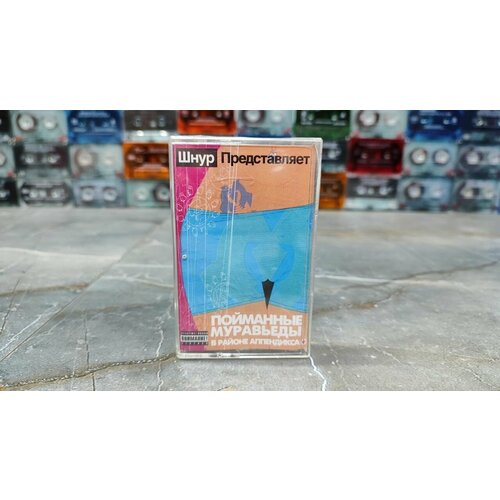 Пойманные Муравьеды В Районе Аппендикса, Шнур представляет. 2004, (кассета, аудиокассета) (МС), оригинал