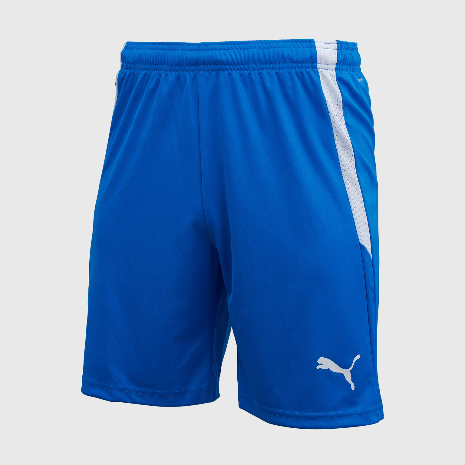 Шорты PUMA Puma Teamliga синий 