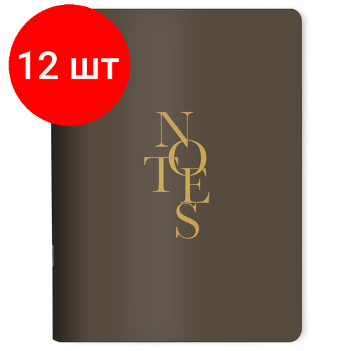 Комплект 12 штук, Тетрадь общая А5+ 48л. клетка, скрепка, Be SmartNotes, N3635