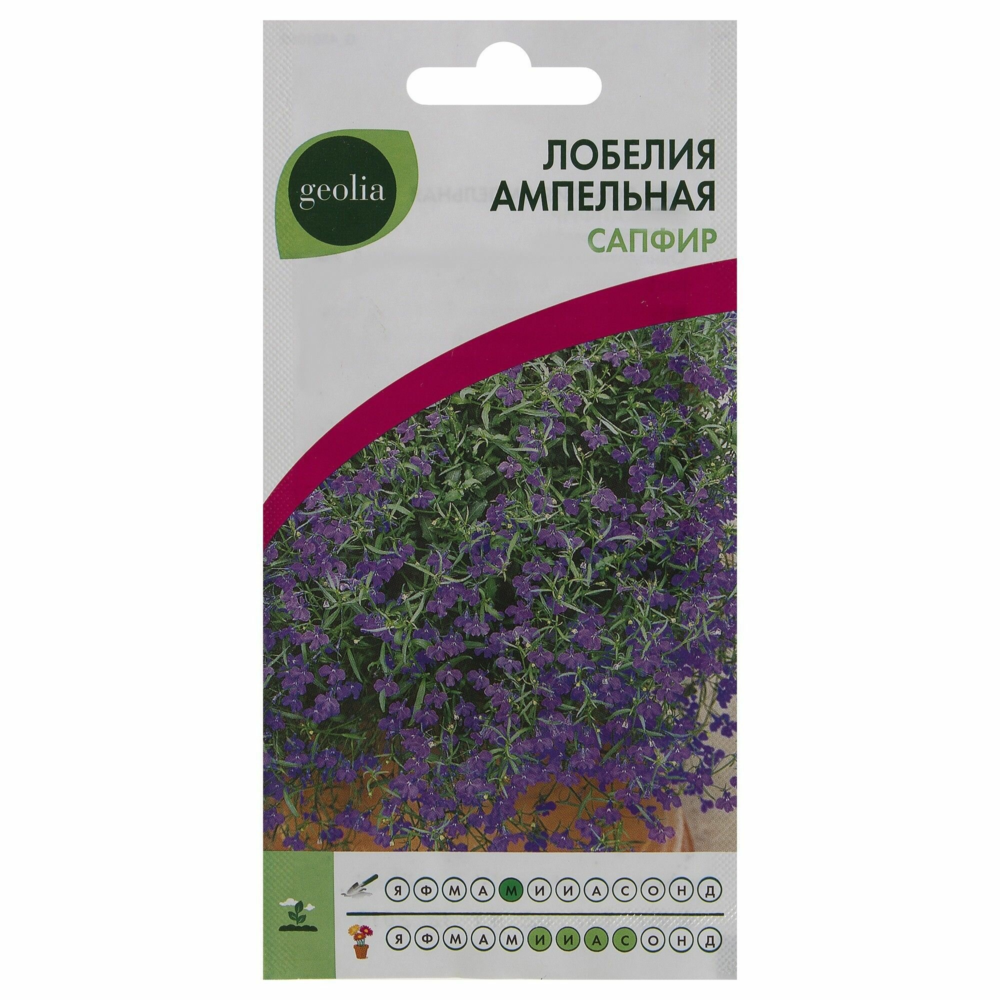 Лобелия ампельная Geolia Сапфир